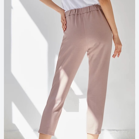ARITZIA BABATON Conan pant in light pink (size 2 with 25 inch inseam) - Picture 3 of 5
